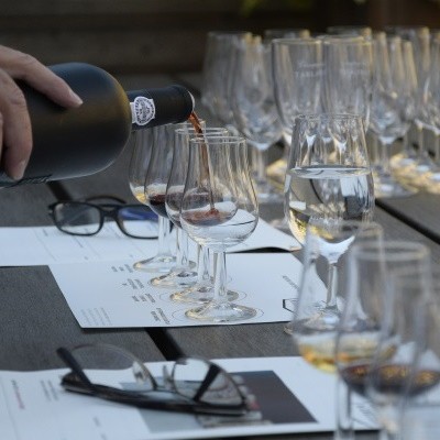 Online-Weinseminar - Ihr Weg zum Weinkenner - Teil 3